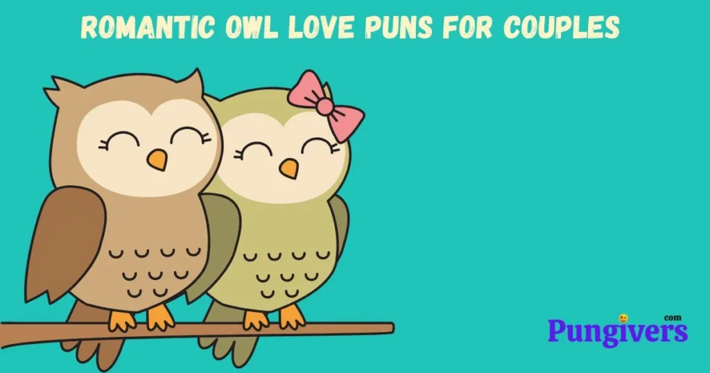 Romantic Owl Love Puns For Couples
