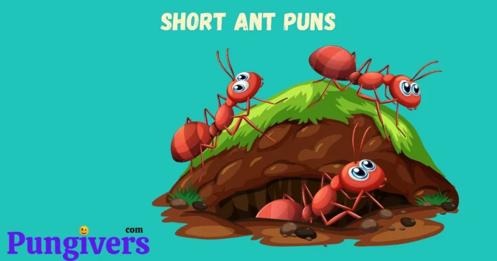 Short Ant Puns